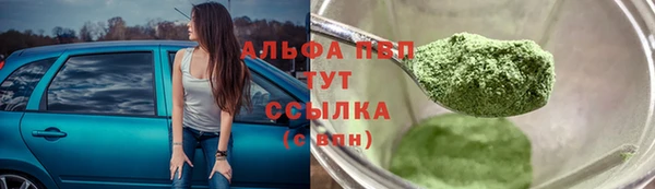 a pvp Аркадак