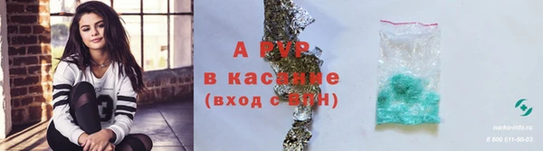 соль ск Арсеньев