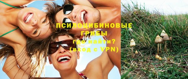 a pvp Аркадак