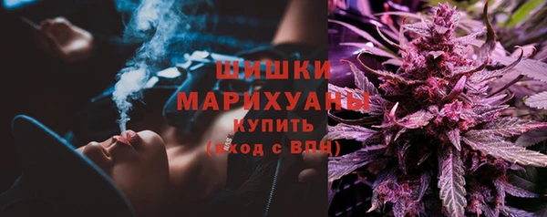 соль ск Арсеньев