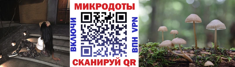 Псилоцибиновые грибы прущие грибы  Енисейск 